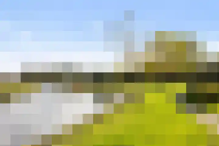 Griene Leane 34 Stiens thumbnail 42