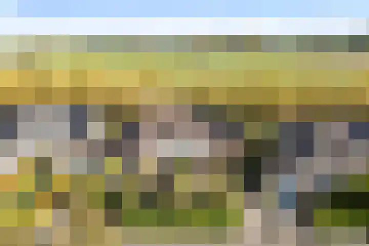 Griene Leane 34 Stiens thumbnail 43