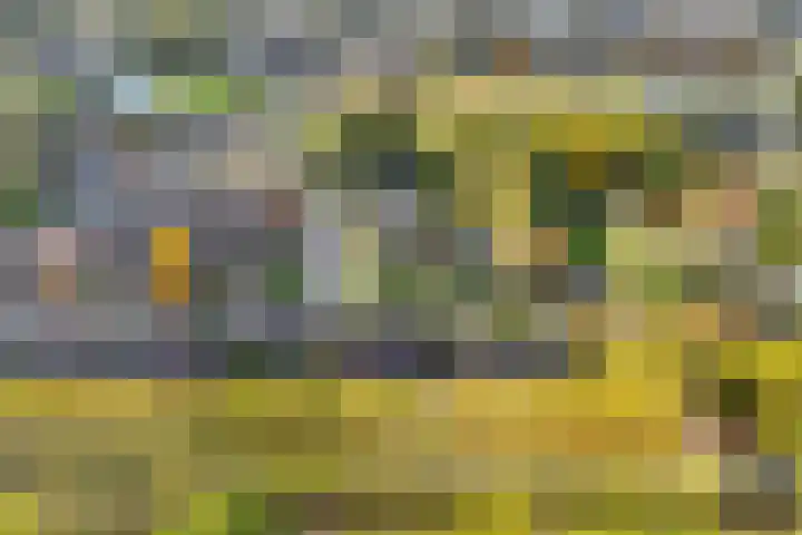 Griene Leane 34 Stiens thumbnail 44