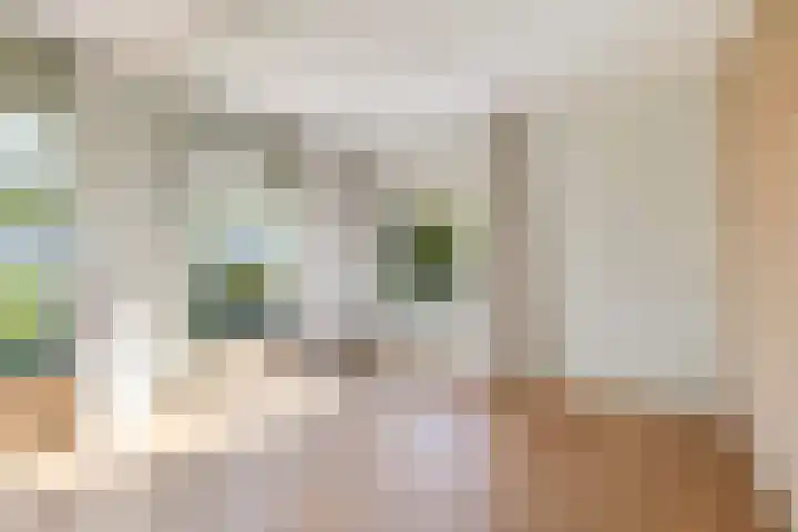 Griene Leane 34 Stiens thumbnail 6