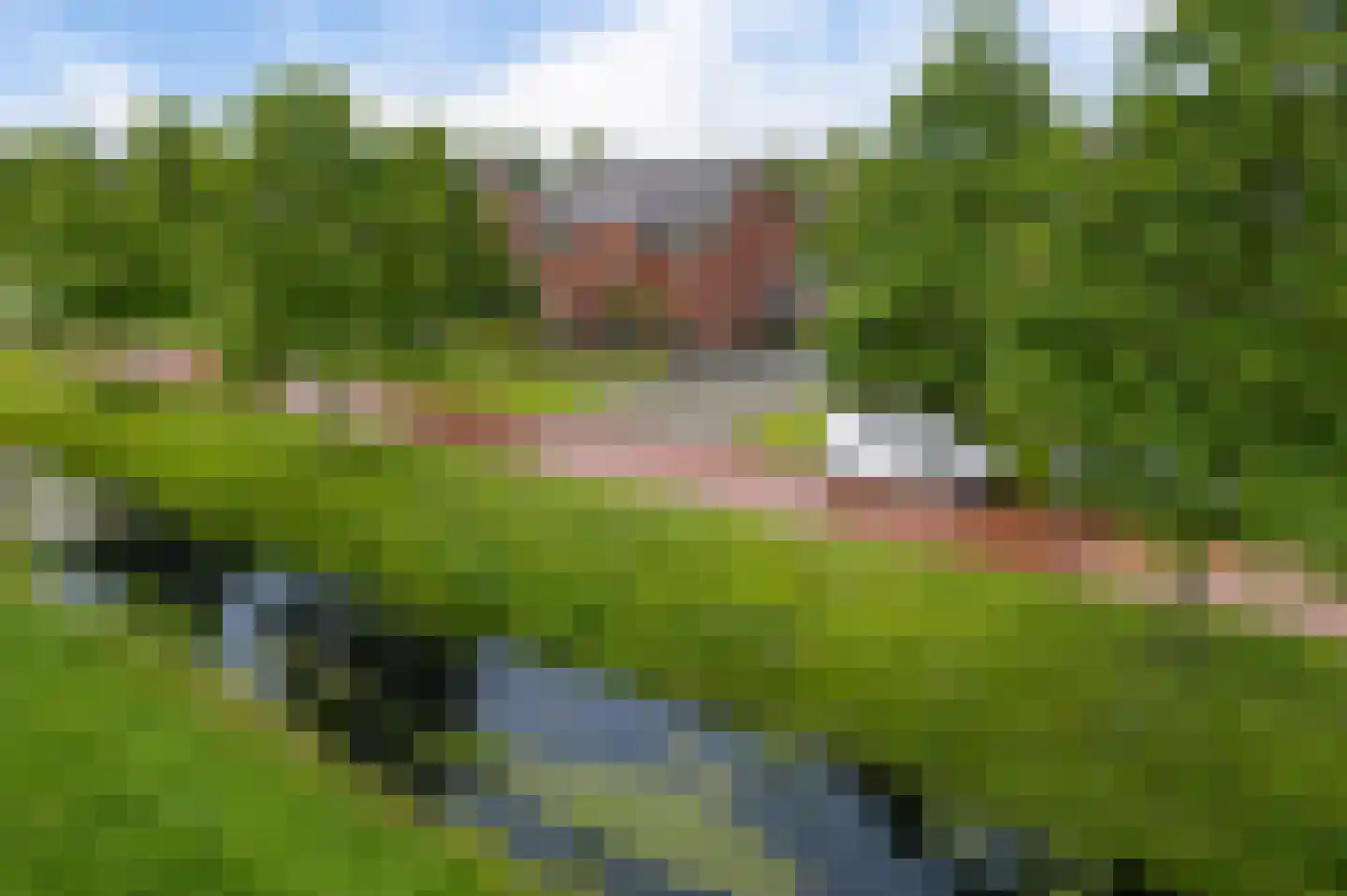 Griene Leane 7 Ureterp foto 2