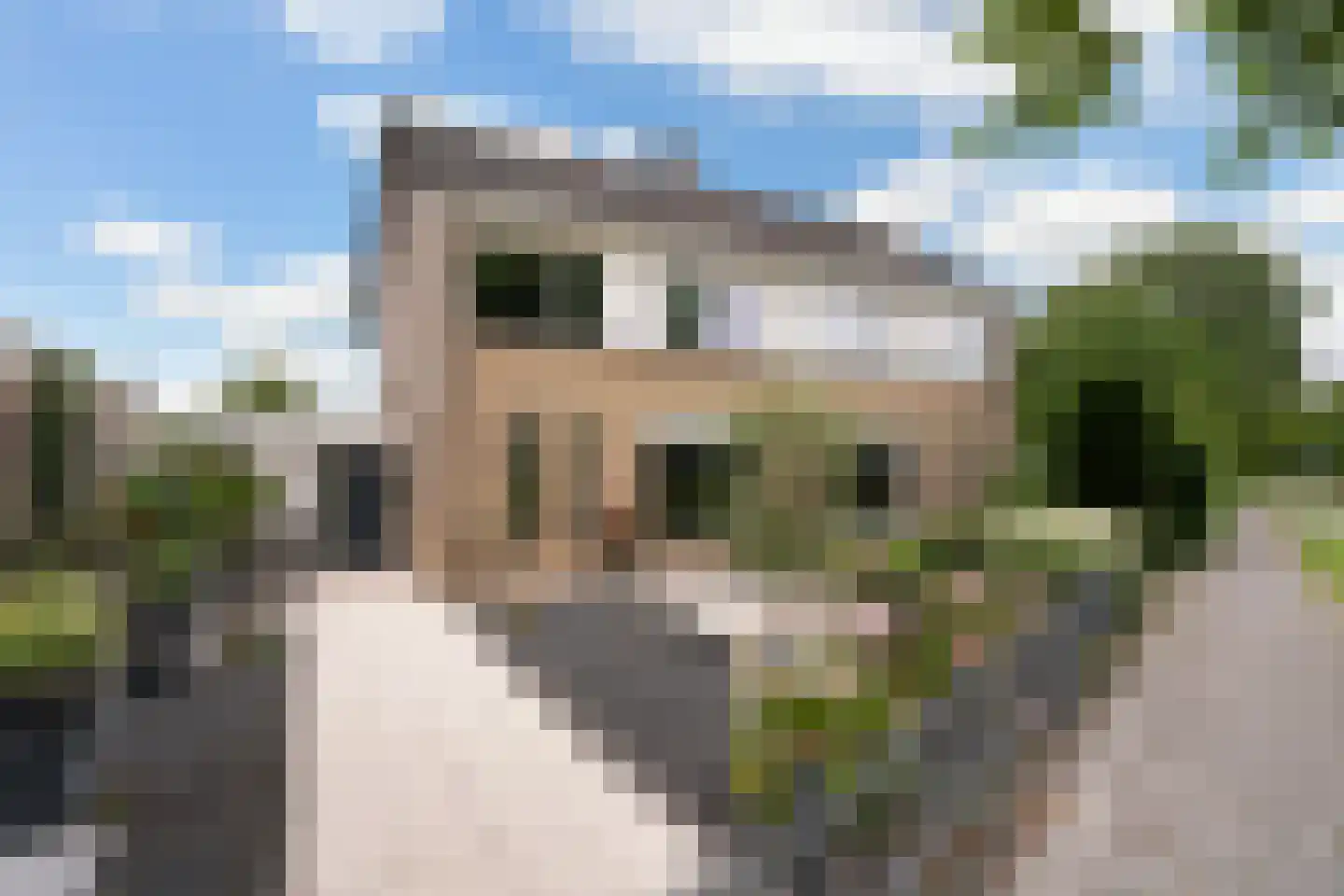 Griene Leane 8 Stiens