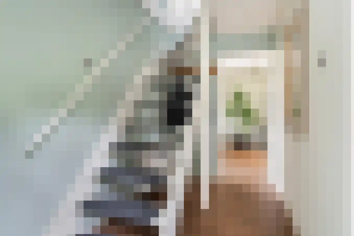 Griene Leane 8 Stiens thumbnail 10