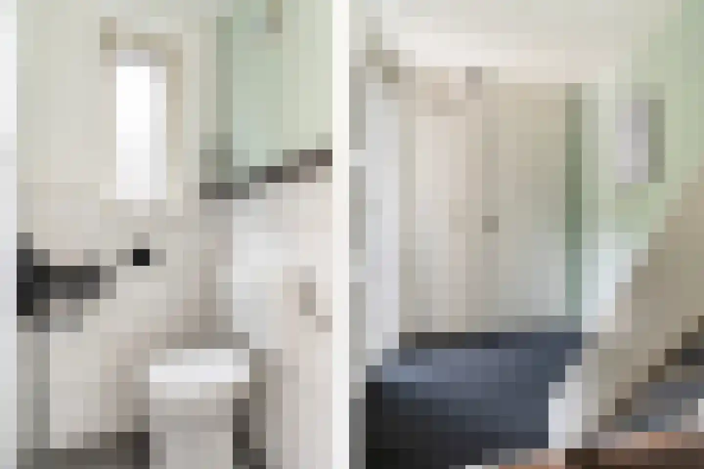 Griene Leane 8 Stiens thumbnail 11