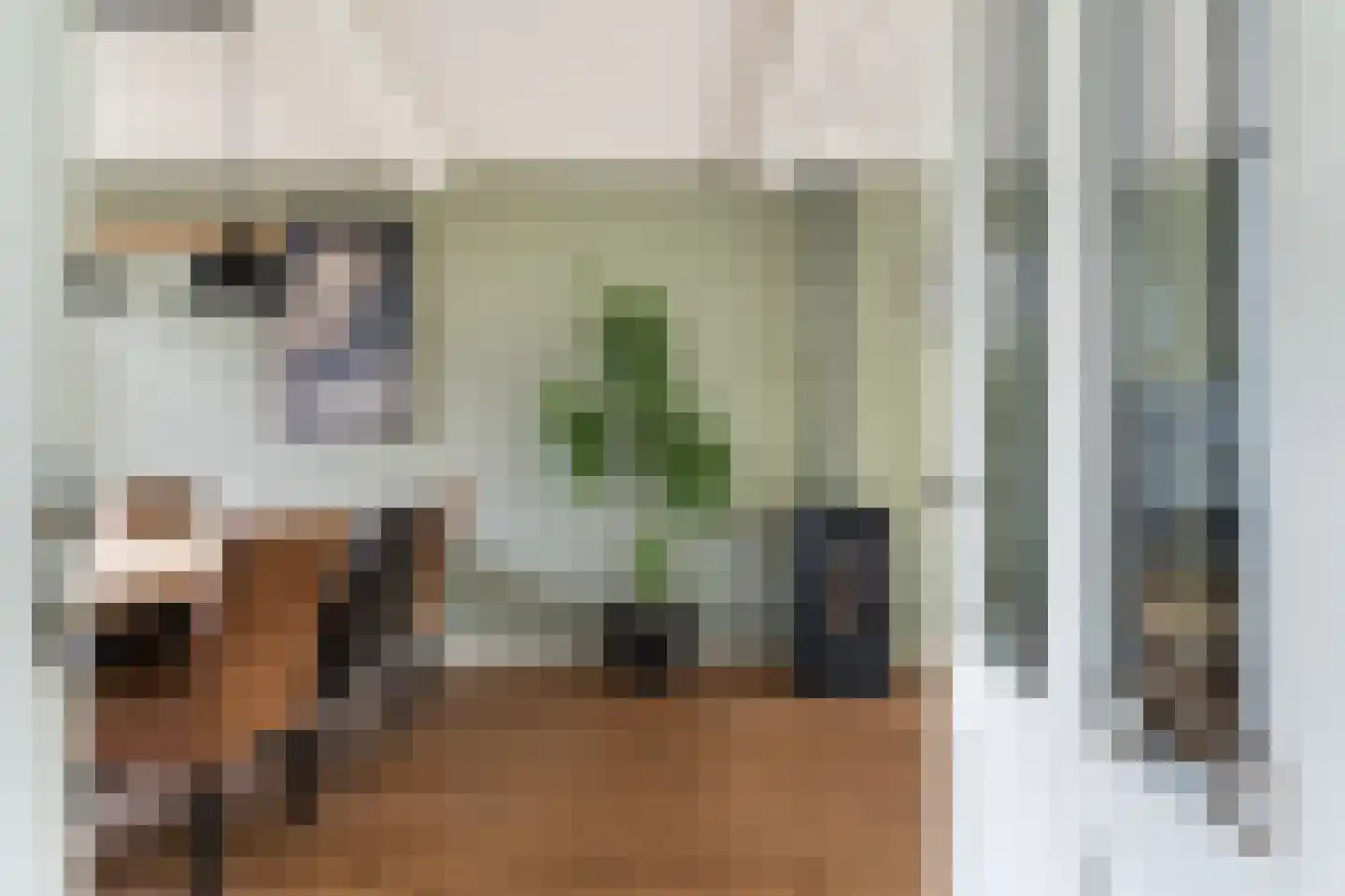 Griene Leane 8 Stiens thumbnail 13