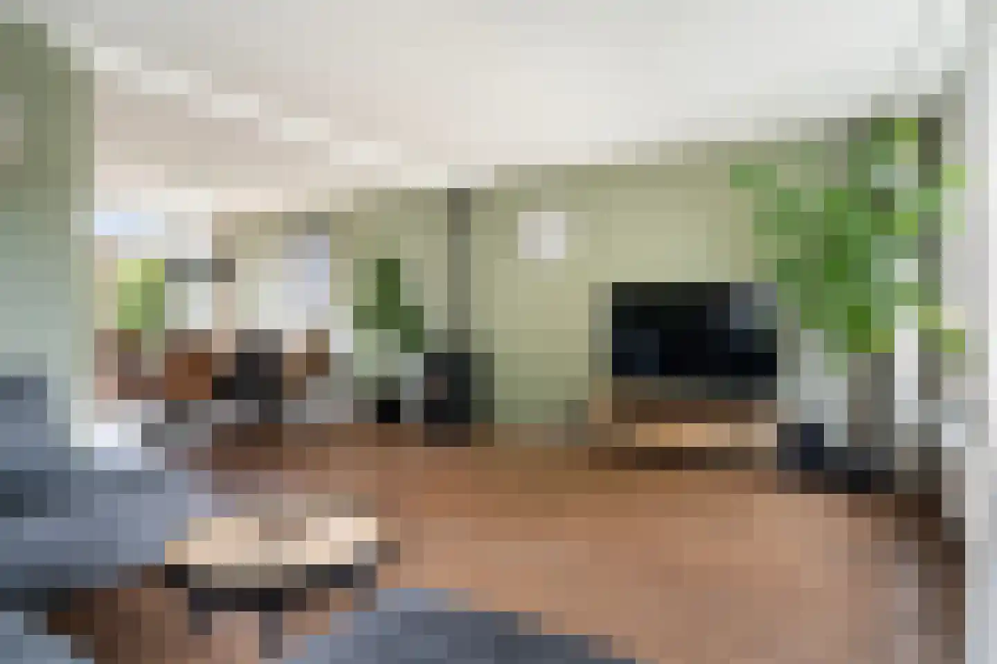Griene Leane 8 Stiens thumbnail 17