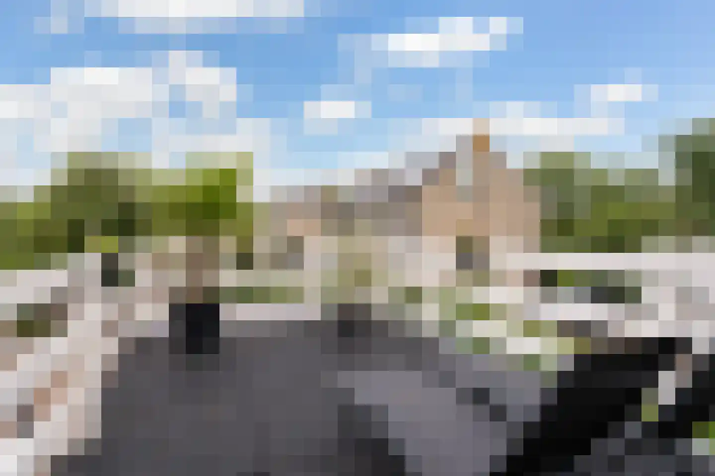 Griene Leane 8 Stiens thumbnail 33