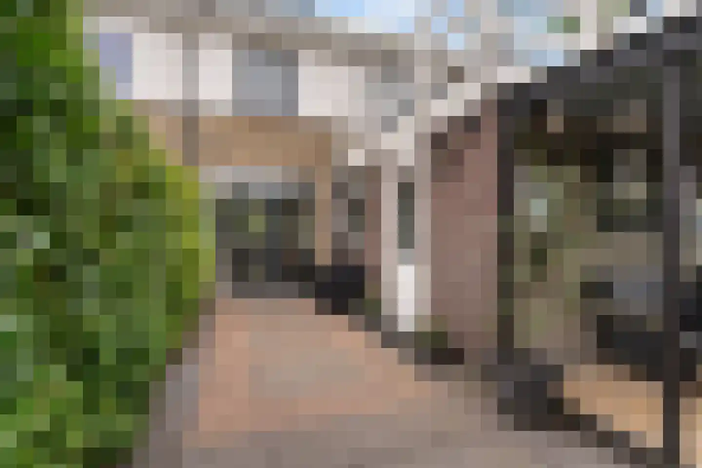 Griene Leane 8 Stiens thumbnail 42