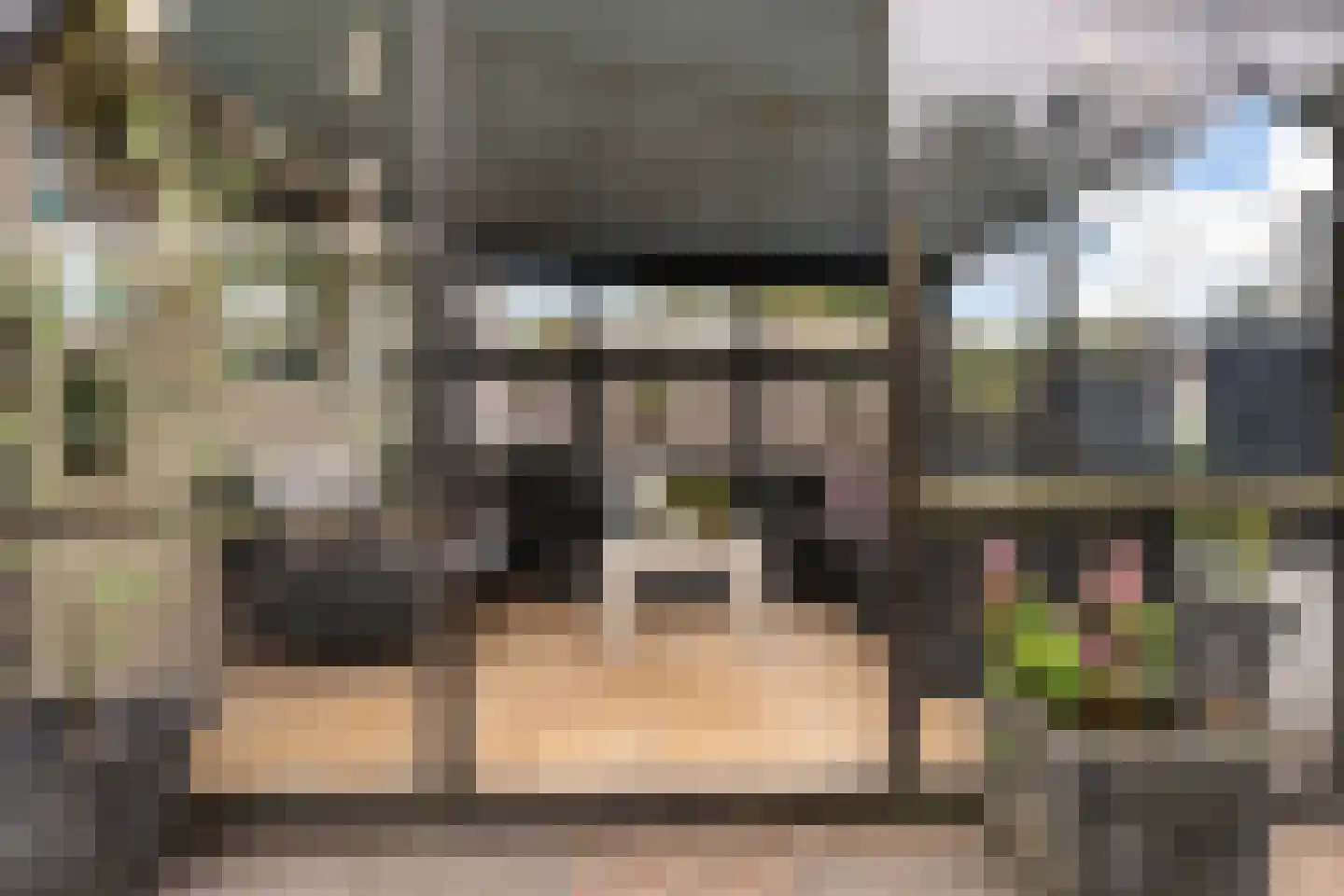 Griene Leane 8 Stiens thumbnail 43