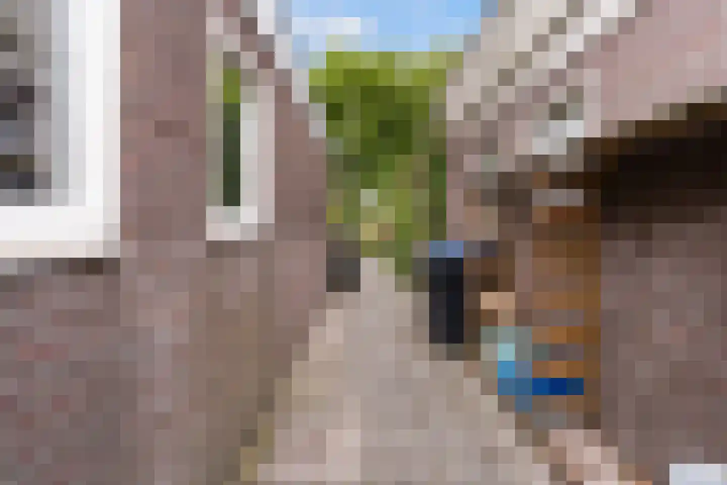 Griene Leane 8 Stiens thumbnail 47