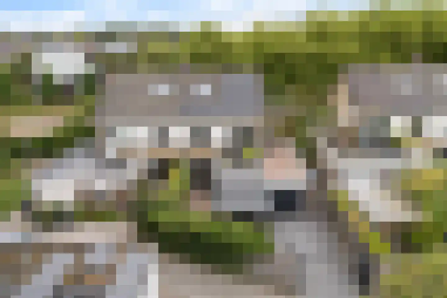 Griene Leane 8 Stiens thumbnail 49
