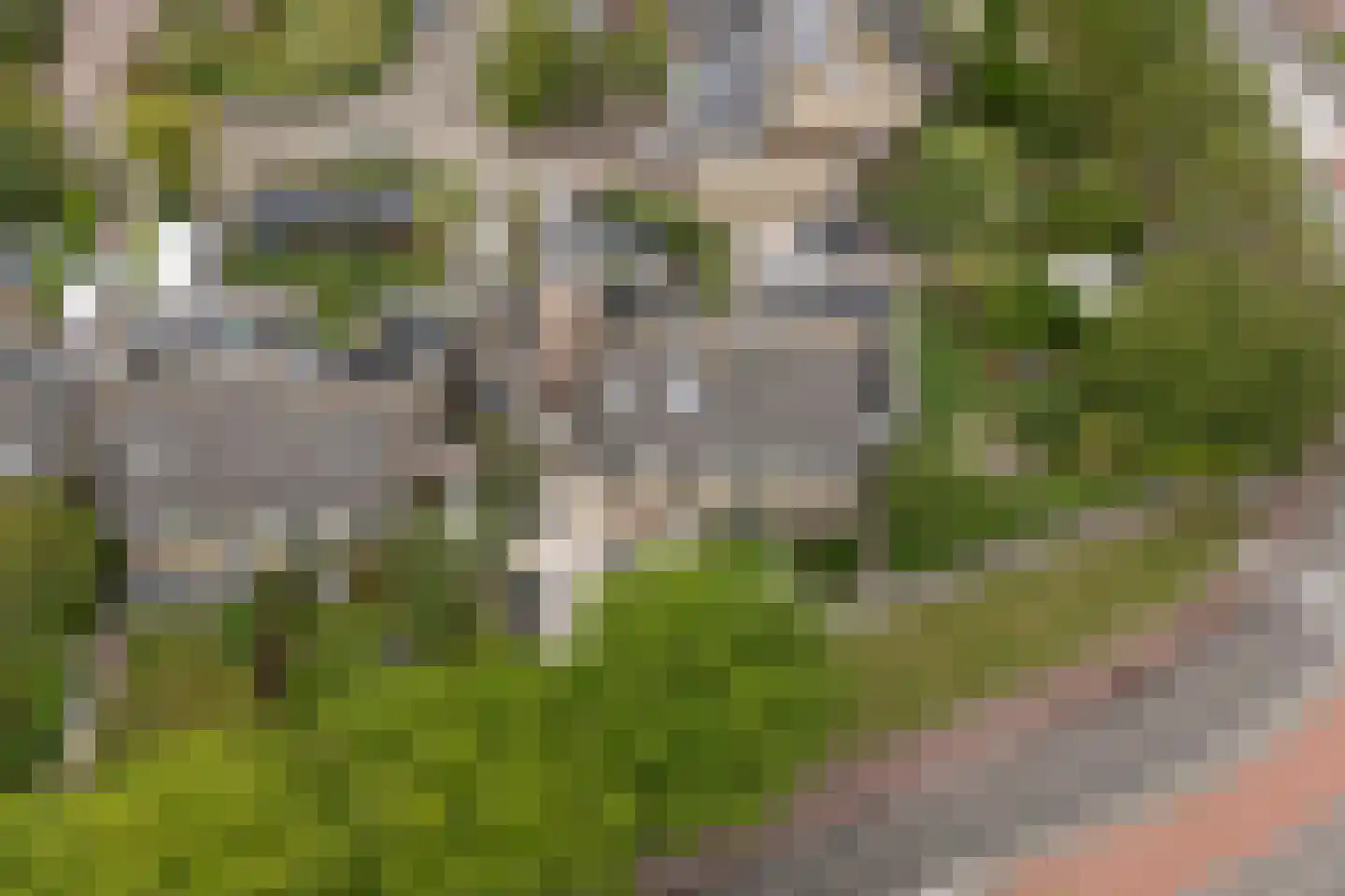 Griene Leane 8 Stiens thumbnail 51