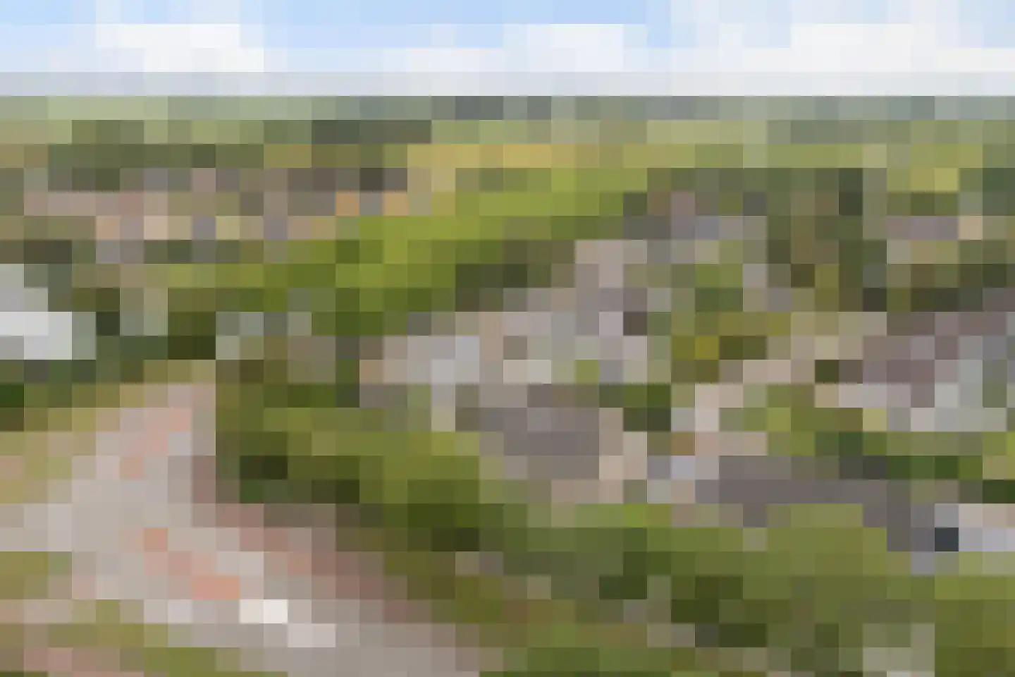 Griene Leane 8 Stiens thumbnail 53