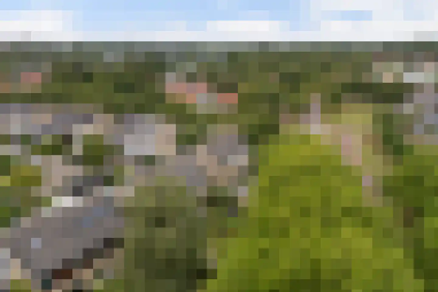 Griene Leane 8 Stiens thumbnail 54