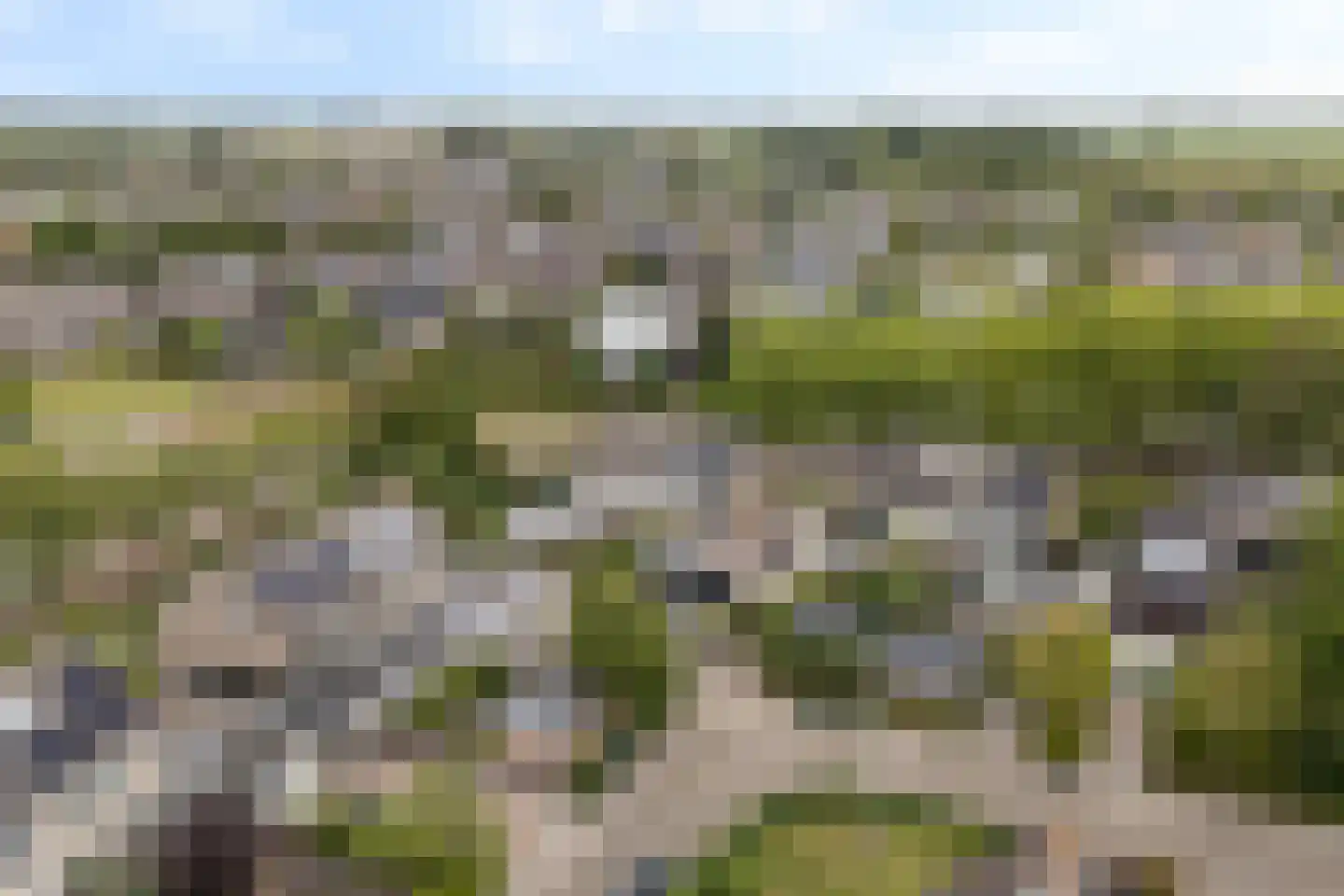 Griene Leane 8 Stiens thumbnail 55