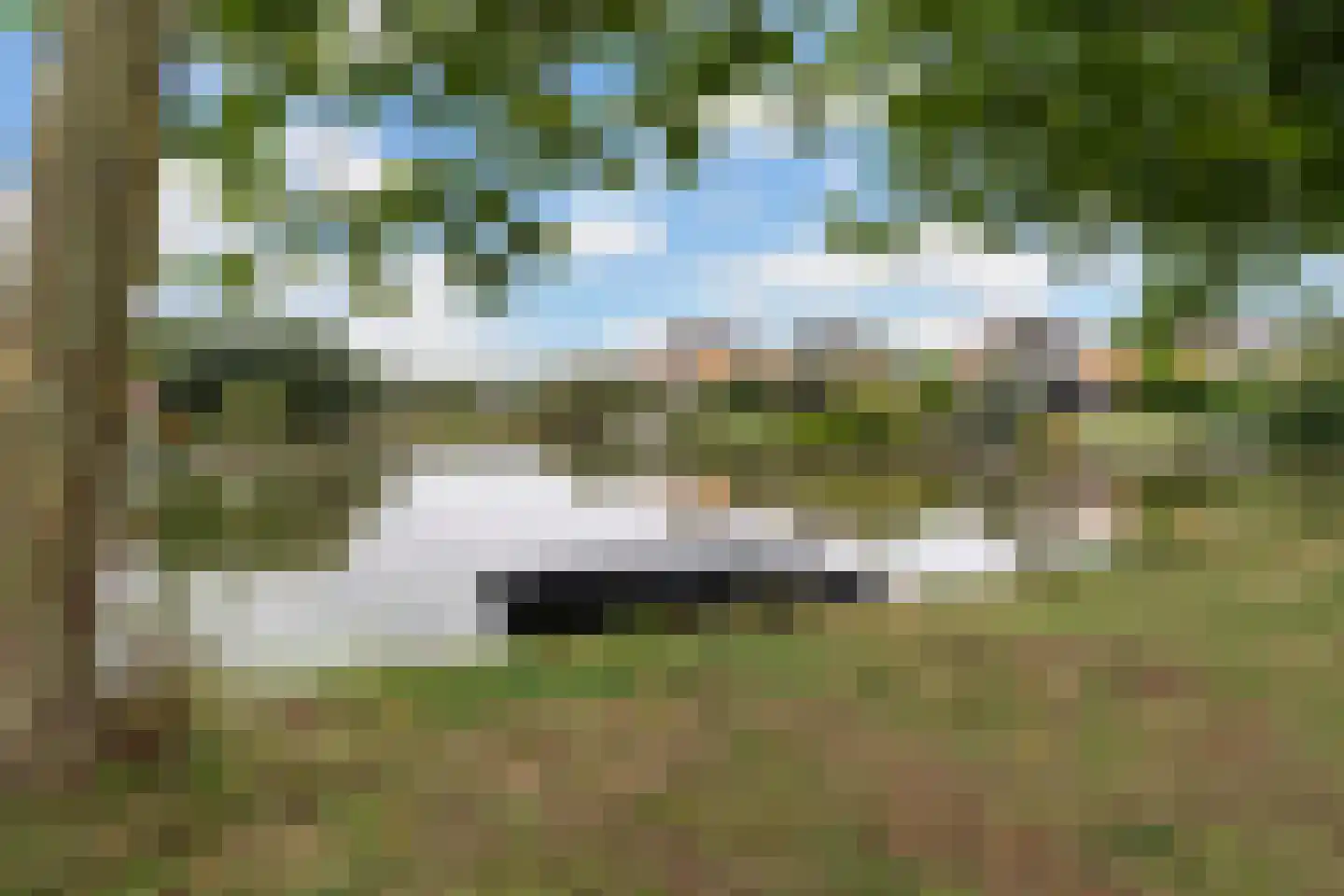 Griene Leane 8 Stiens thumbnail 57
