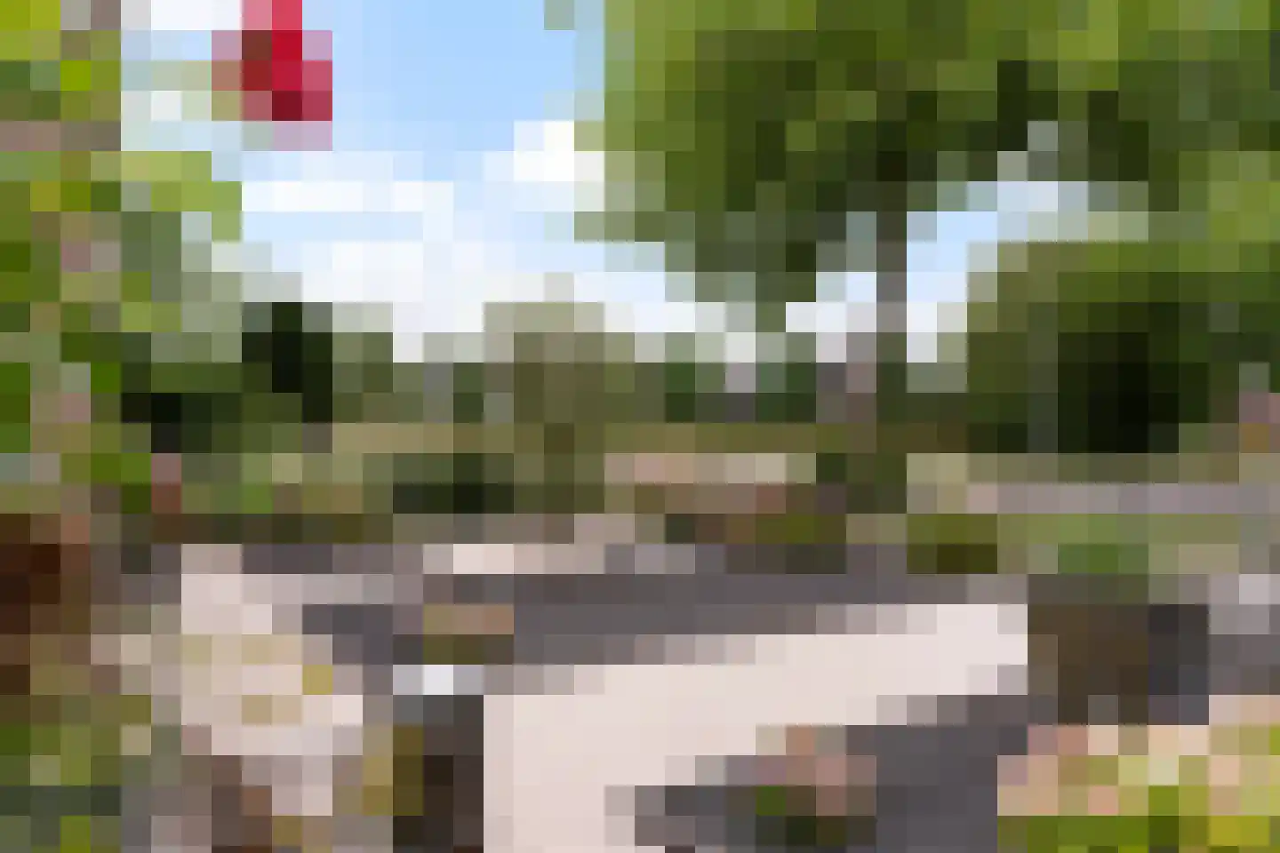 Griene Leane 8 Stiens thumbnail 7
