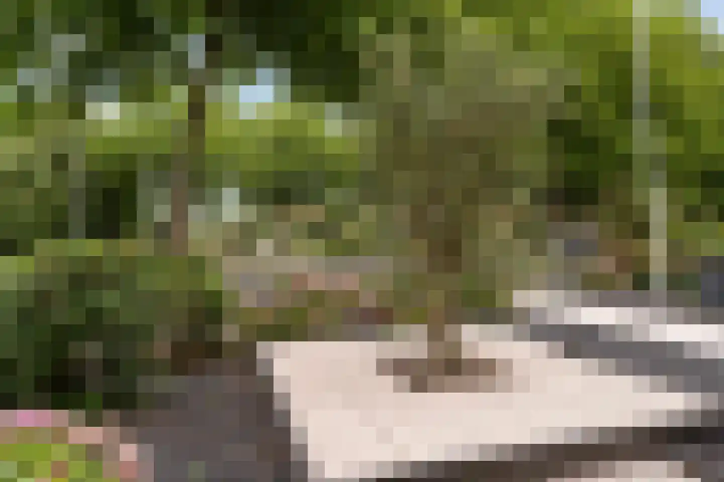 Griene Leane 8 Stiens thumbnail 8