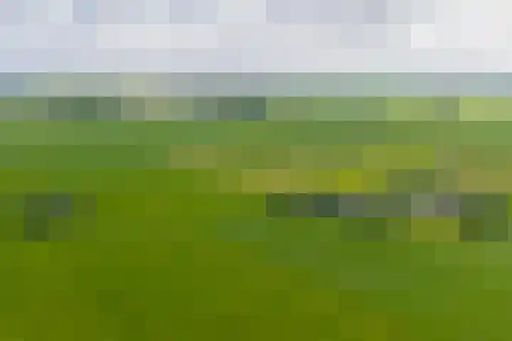 Griene Reed 1 Hantumerútbuorren thumbnail 12