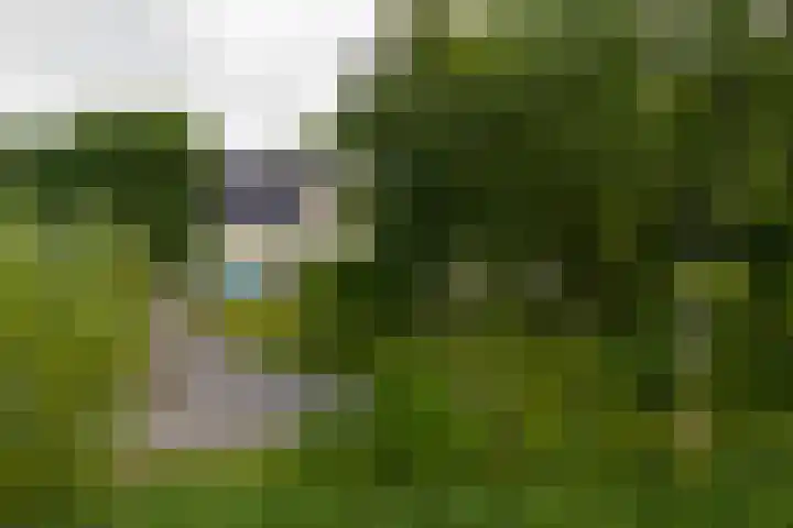 Griene Reed 1 Hantumerútbuorren thumbnail 16
