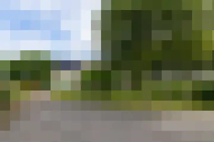 Griene Reed 1 Hantumerútbuorren thumbnail 17