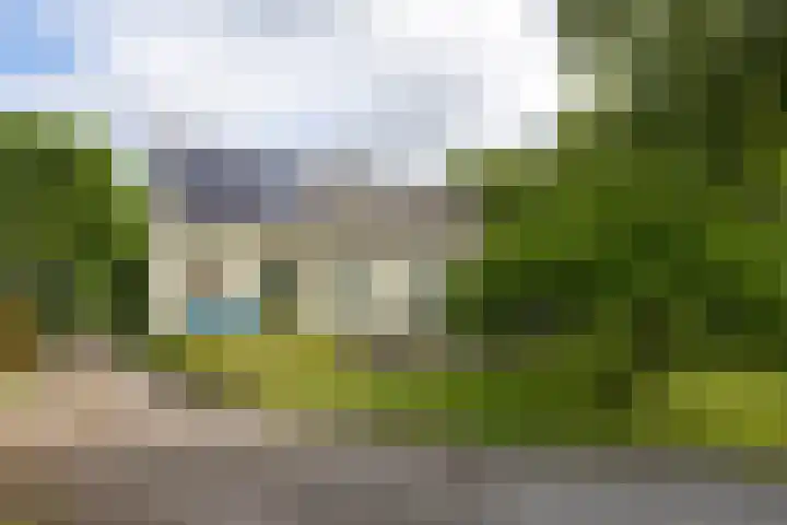 Griene Reed 1 Hantumerútbuorren thumbnail 18