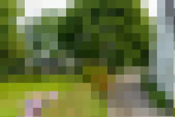 Griene Reed 1 Hantumerútbuorren thumbnail 19