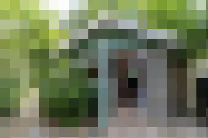 Griene Reed 1 Hantumerútbuorren thumbnail 23
