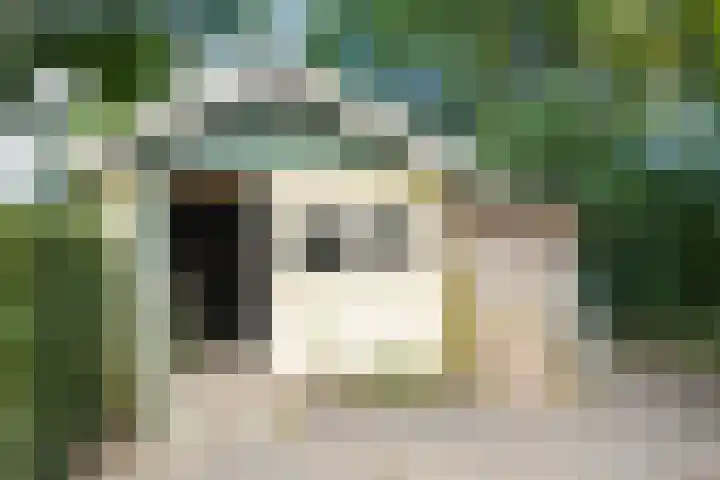 Griene Reed 1 Hantumerútbuorren thumbnail 25