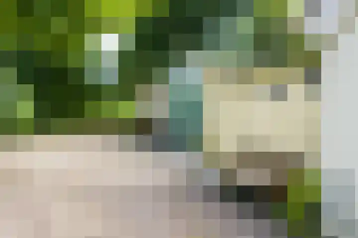 Griene Reed 1 Hantumerútbuorren thumbnail 26