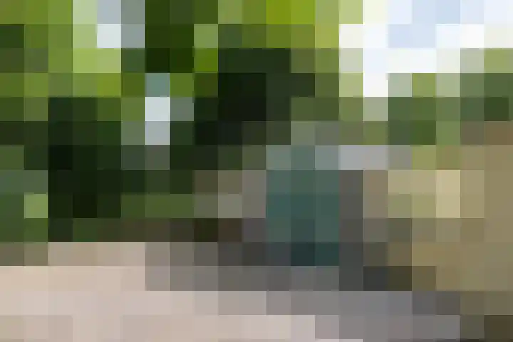 Griene Reed 1 Hantumerútbuorren thumbnail 27