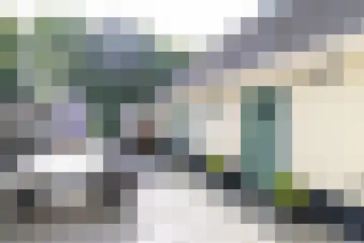 Griene Reed 1 Hantumerútbuorren thumbnail 32