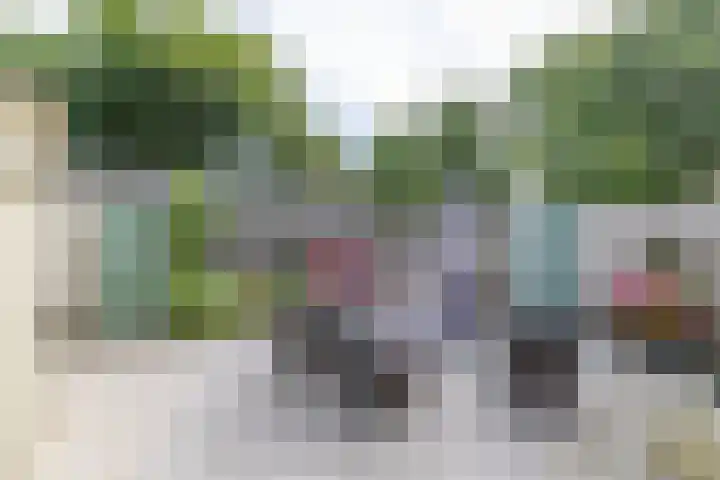 Griene Reed 1 Hantumerútbuorren thumbnail 33