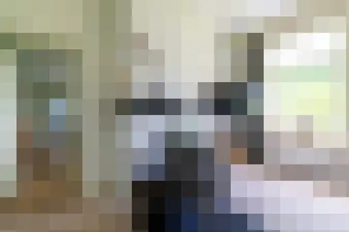 Griene Reed 1 Hantumerútbuorren thumbnail 37