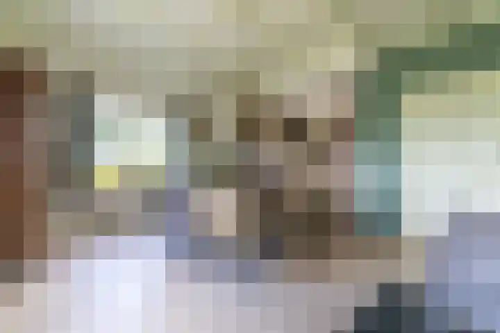 Griene Reed 1 Hantumerútbuorren thumbnail 38