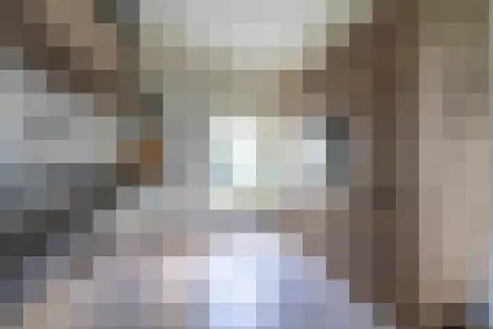 Griene Reed 1 Hantumerútbuorren thumbnail 41