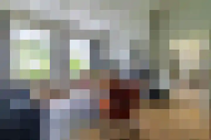 Griene Reed 1 Hantumerútbuorren thumbnail 43