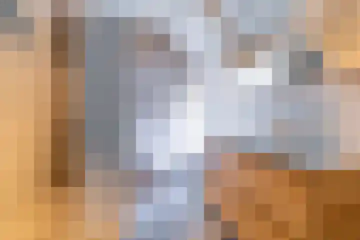 Griene Reed 1 Hantumerútbuorren thumbnail 49