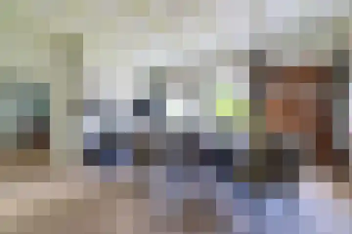 Griene Reed 1 Hantumerútbuorren thumbnail 5