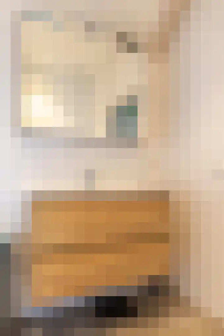 Griene Reed 1 Hantumerútbuorren thumbnail 52