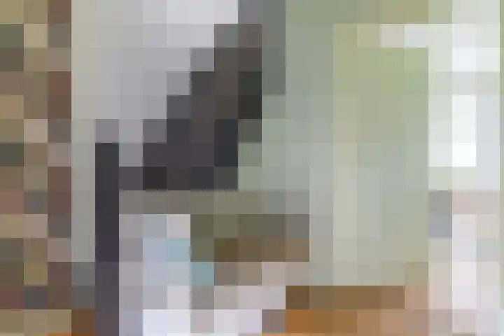 Griene Reed 1 Hantumerútbuorren thumbnail 54