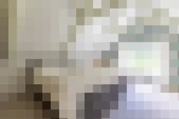 Griene Reed 1 Hantumerútbuorren thumbnail 56