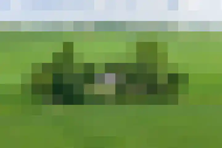Griene Reed 1 Hantumerútbuorren thumbnail 68