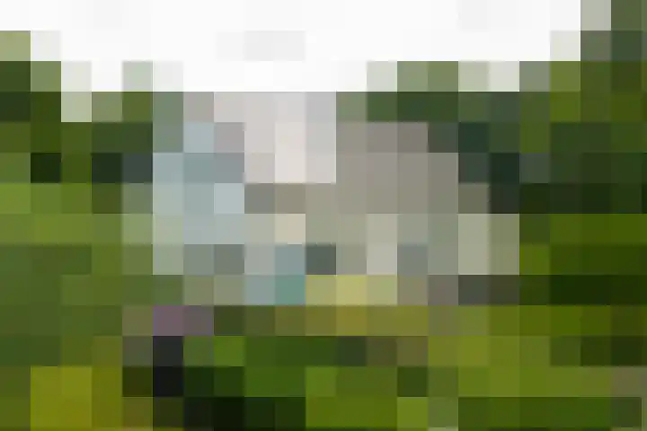 Griene Reed 1 Hantumerútbuorren thumbnail 71
