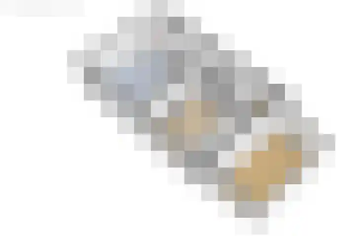Griene Reed 1 Hantumerútbuorren thumbnail 76