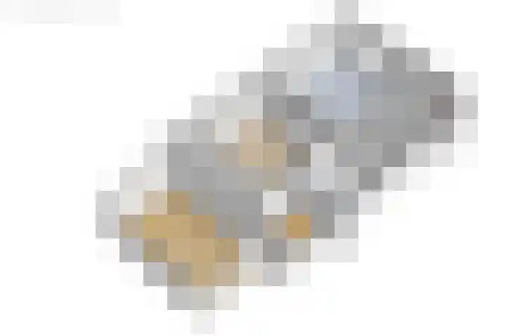 Griene Reed 1 Hantumerútbuorren thumbnail 77