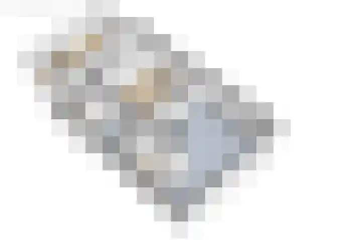Griene Reed 1 Hantumerútbuorren thumbnail 78