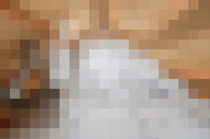 Griene Wei 30 Easternijtsjerk thumbnail 26