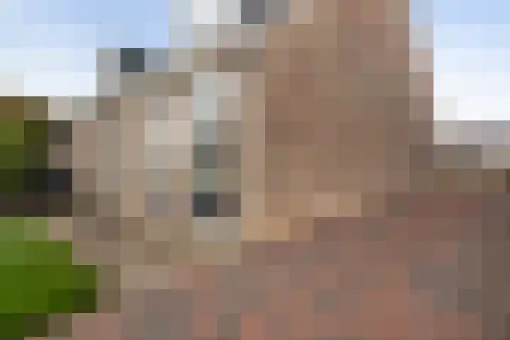 Griene Wei 30 Easternijtsjerk thumbnail 30