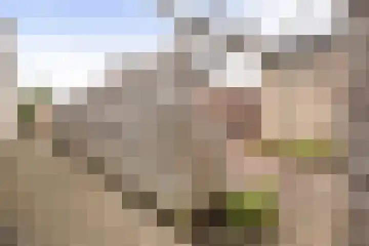 Griene Wei 30 Easternijtsjerk thumbnail 33
